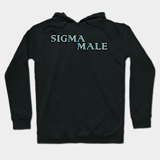 Sigma Male Hoodie